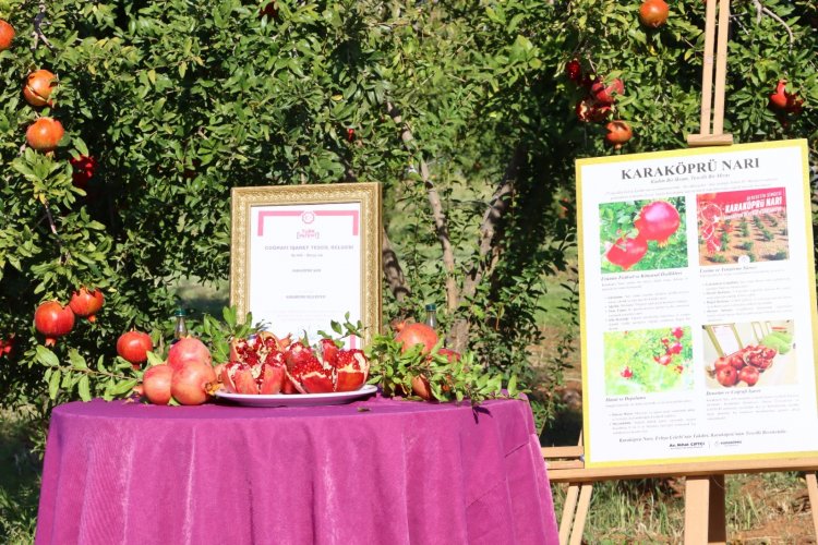 Karaköprü Narı İçin Geri Sayım: 3 Gün Sürecek Festival Alanı ve Programı Belli Oldu