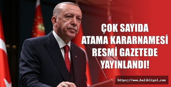 Erdoğan İmzasıyla Resmi Gazete'de yayımlanan kararname ile 161 atama yapıldı