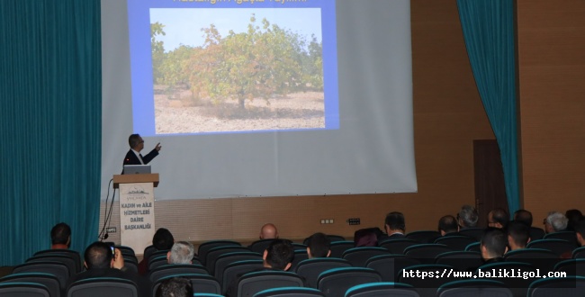 Fıstıkta Fitoplazma (Sararıp Kuruma) Fıstık zararları semineri