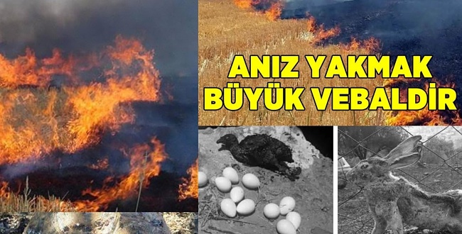 Uyan Olursa Yeniden Uyarıldı: Anızı Yakmayın