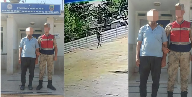 Şanlıurfa'da OSB'ye giren hırsız yakalandı
