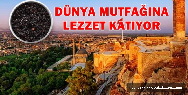 Urfa İsotunun  lezzetini tatmayan yok! Tam 93 Ülkenin Mutfağına Giriyor
