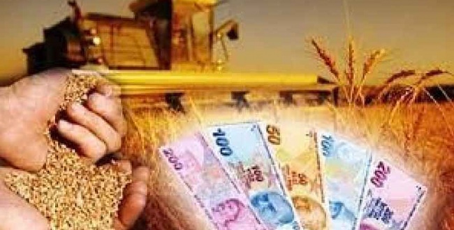 Bakan Kirişçi: Destekleme Ödemeleri Başladı