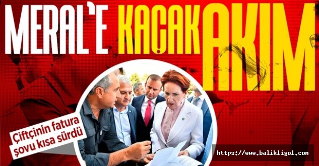 DEDAŞ'tan Açıklama Geldi: Elektrik Faturasını Akşener'e Şikayet Eden Çiftçi Kaçak Kullanıyor