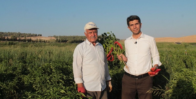 HÜDA PAR İl Başkanı'ndan Urfalı Milyoner Gençler Proje Önerisi