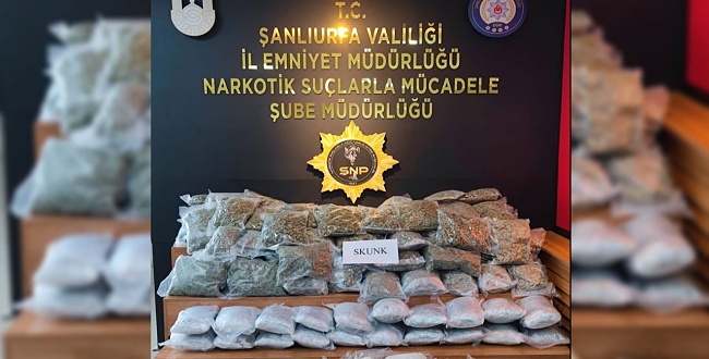3 milyonluk uyuşturucu ele geçirildi