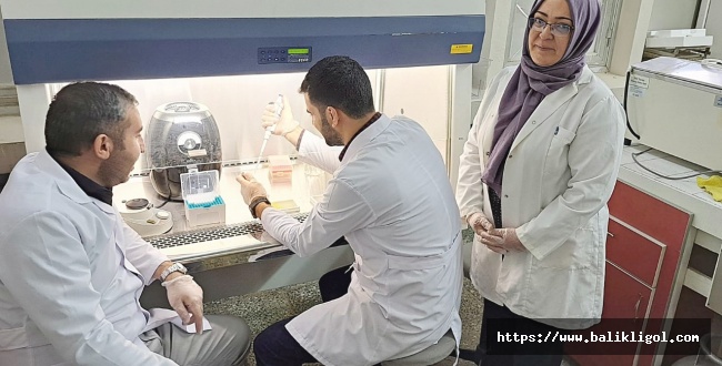 Harran Üniversitesi’nden Sağlıklı Et Tüketimine Bilimsel Katkı