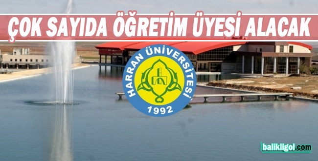 Resmi Gazetede Yayımlandı! Harran Üniversitesi öğretim üyesi alacak