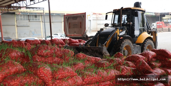 Tonlarca Soğanı Dükkânda Çürüttüler! Zabıta İmha Etti