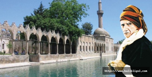 63. ŞANLIURFA BEDİÜZZAMAN MEVLİDİ'NE DAVET