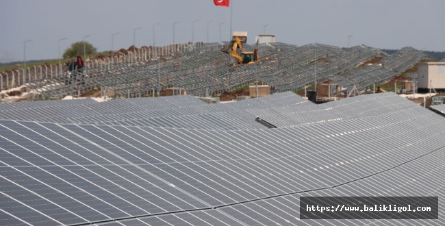Başkan Beyazgül Müjdeyi Vermişti Güneş Tarlaları Artıyor