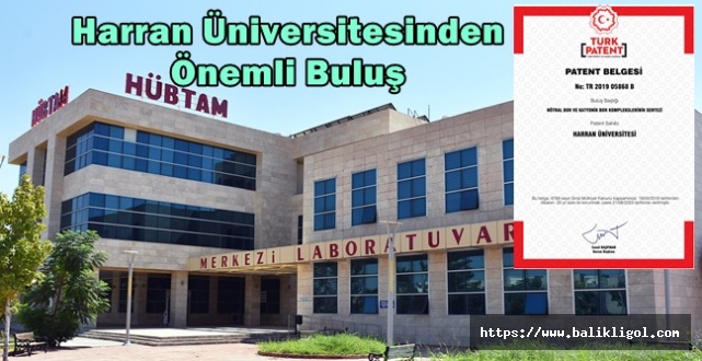 HRÜ Bilim İnsanları Nötral ve Katyonik Bor Komplekslerinin Sentezi buluşu yaptılar