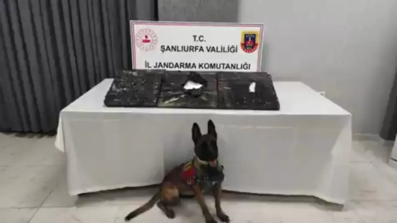 Şanlıurfa'da uyuşturucu operasyonu