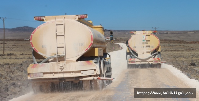 Büyükşehir’den 4 Ekim Hayvan Hakları Gününde Büyük Farkındalık
