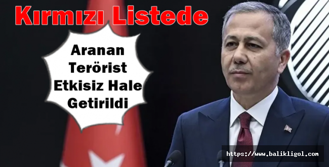 Kırmızı kategoride aranan PKK'lı Faraşin-Bedran etkisiz hale getirildi