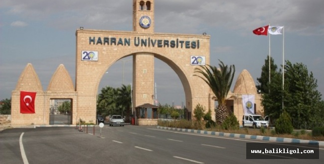 Harran Üniversitesi Öğretim elemanı İlanına çıktı