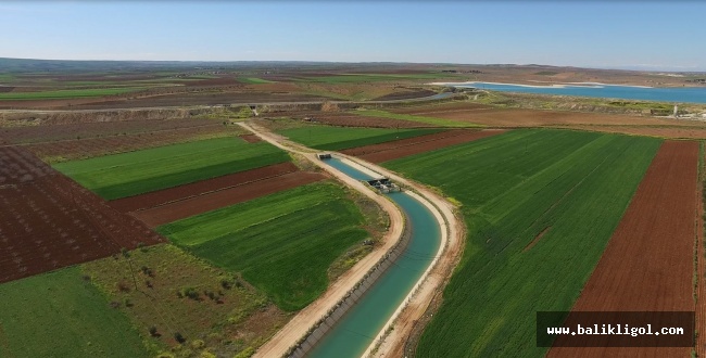 Urfa’da Topraklar Suya İnsanlar Aşa Kavuşuyor