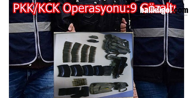 Ceylanpınar’da PKK/KCK Operasyonu: 9 Gözaltı