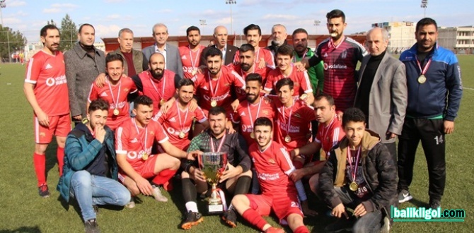 1. Amatör Ligi B Grubu şampiyonu Viranşehir Sanayispor oldu