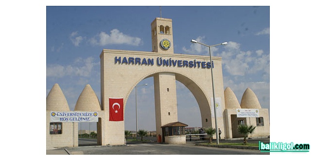 Harran Üniversitesi İç Denetçi Personel Alımı Yapacak