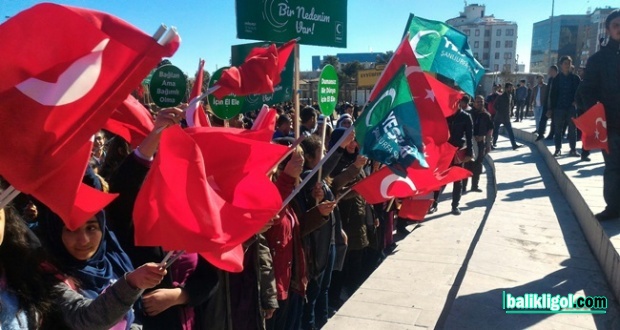 Urfa'da Yeşilay haftası yürüyüşü yapıldı