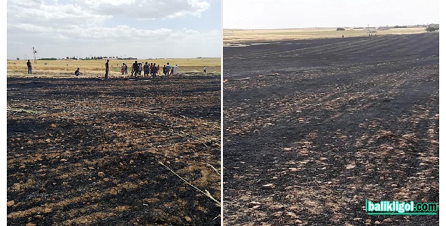 Yangın sezonu erken başladı, Urfa’da 300 dönüm arazi küle döndü