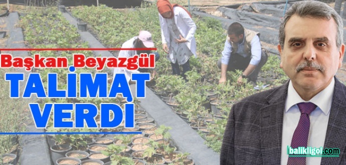 Şanlıurfa Büyükşehir Belediyesi Kendi Fidanını Üretiyor