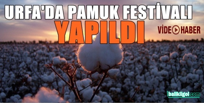 Pamuk için Urfa'da festival düzenlendi
