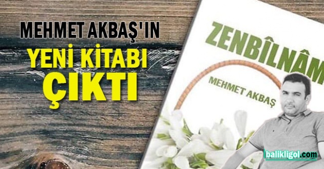 Mehmet Akbaş'ın Zenbilname İsimli Kitabı Çıktı