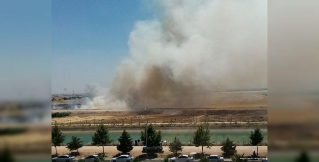 Urfa'da Anız Yangını İnsan Hayatını Tehdit Ediyor