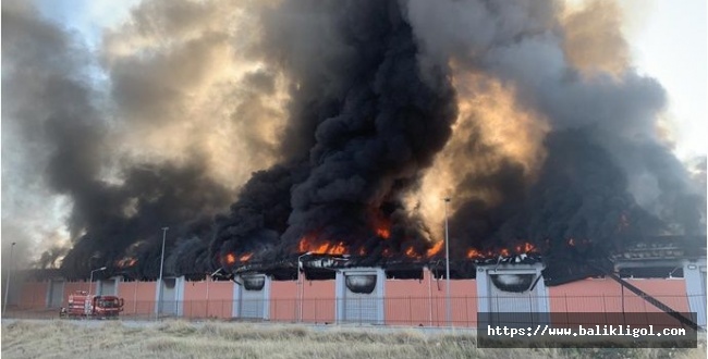 Harran Üniversitesi Osmanbey Kampüsünde Lojistik Deposunda Büyük Yangın