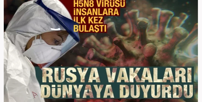 Rusya'da Yeni Virüs Salgını! 7 Kişi Pozitif Çıktı