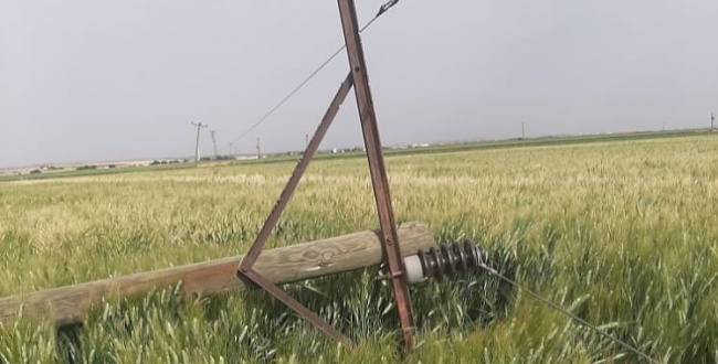 Fırtına Şanlıurfa'da onlarca Elektrik direğini devirdi