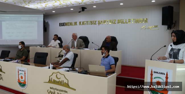 Urfa Büyükşehir belediye meclisi 3 önemli konuda başkana yetki verdi