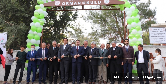 Bir ilk! Urfa'da orman okulu açıldı