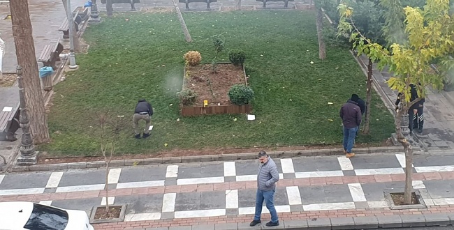 Siverek belediye binasına silahlı saldırı
