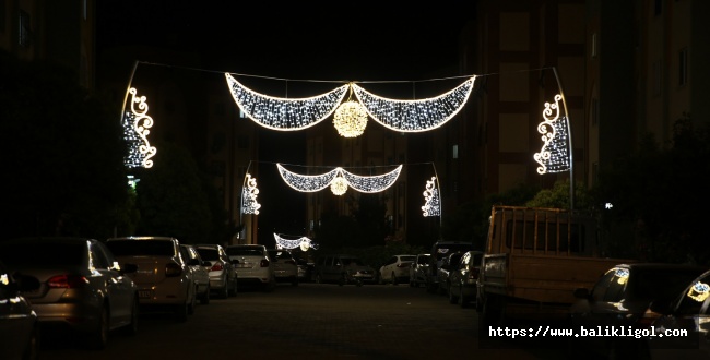 Eyyübiye’nin Tüm Sokakları Işıl Işıl Olacak