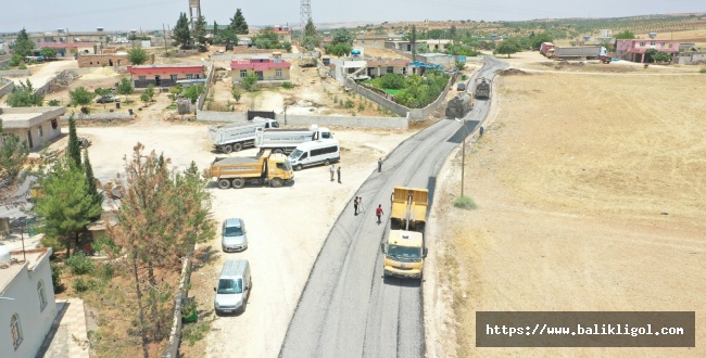Şanlıurfa Büyükşehir Belediyesinden Kırsalda Asfalt Çalışması