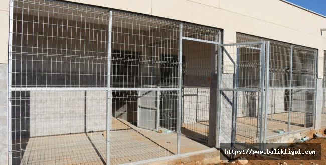 Urfa'da sokak hayvanları için barınaklar yapıldı