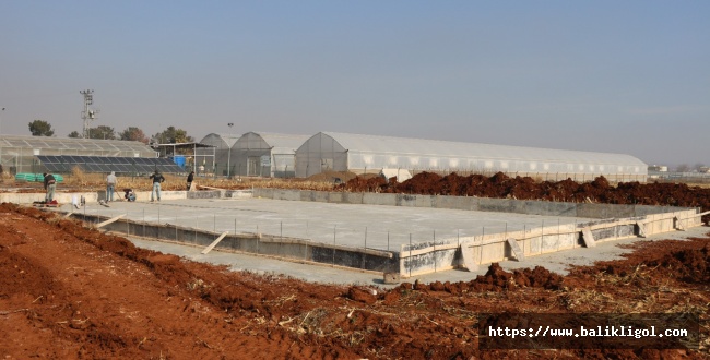 Urfa'da Tarıma Yönelik Önemli Hizmet, Otomasyon Merkezinin Temeli Atıldı