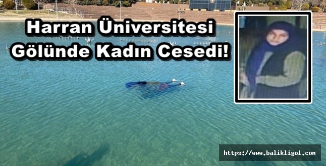 Harran Üniversitesi Yapay Göletinde Kadın Cesedi Bulundu