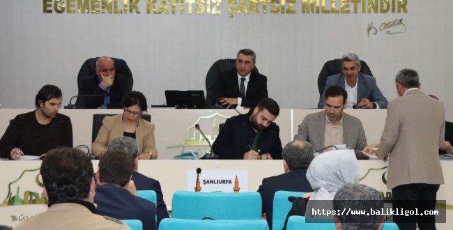 Şanlıurfa Büyükşehir Belediye Meclisi komisyon üye seçimleri yapıldı