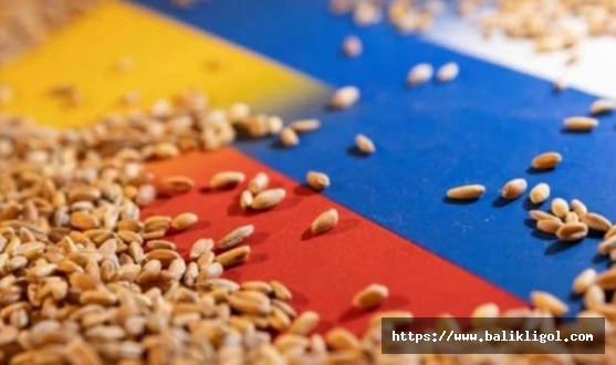 Rusya'nın tahıl anlaşması durdurma kararına tepkiler