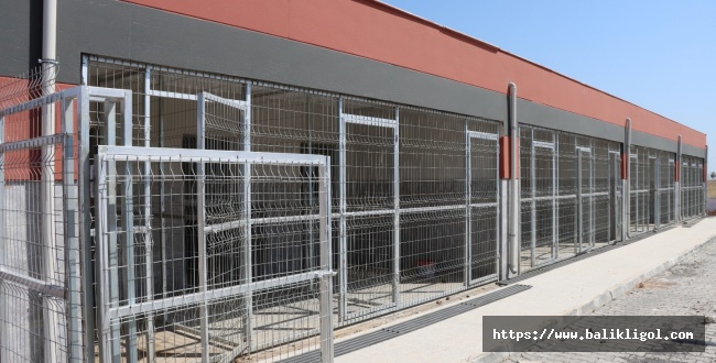 Urfa’da Sokak Hayvanları Rehabilitasyon Merkezi İnşaatı Tamamlandı