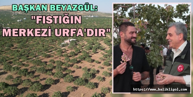 Urfa'da Fıstık Hasadı şenliği düzenlendi