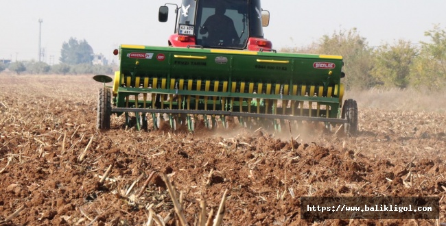 Şanlıurfa'da Belediye Buğday Ekimi Yaptı