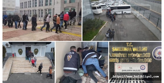 Urfa merkezli dolandırıcılık operasyonu: 29 kişi tutuklandı