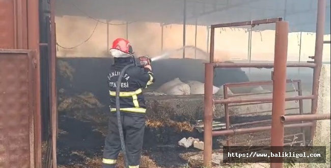 Eyyübiye'de çiftlik yangını: İtfaiye müdahale etti