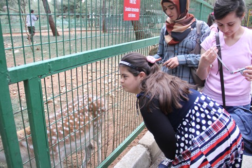 Engellilerden hayvanat bahçesi gezisi