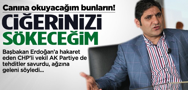 Erdoğan'a hakaret eden CHP'li: Ciğerinizi...